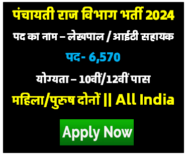 Bihar Lekhpal Bharti 2024 | पंचायती राज विभाग में लेखपाल की निकली सरकारी भर्ती 2024 [Career]
