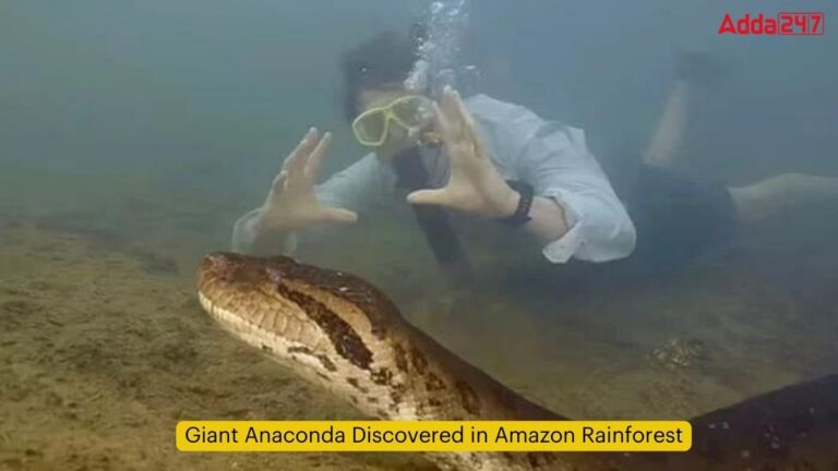 Giant Anaconda Discovered in Amazon Rainforest [Current Affairs]