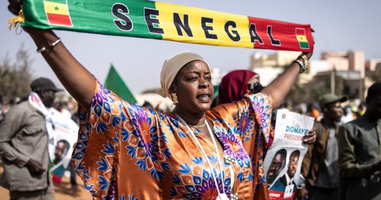 Tax inspectors to poultry boss: Senegal’s presidential candidates | Politics News [World]