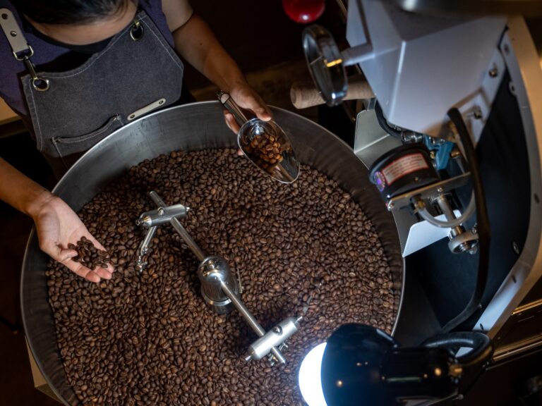 Coffee’s in danger: Can Vietnam’s Robusta save it from climate change? | Food [World]