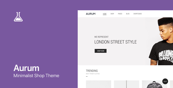 Aurum – WordPress & WooCommerce Shopping Theme