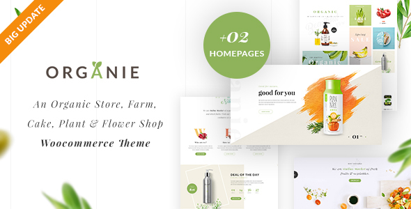 Organie – Organic Store & Food WooCommerce Theme