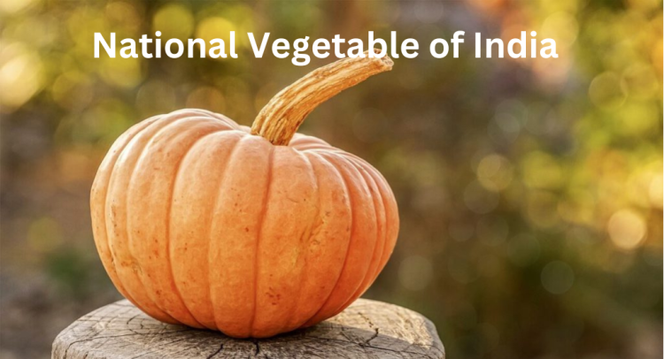 National Vegetable of India, Know Its Name and Significance [Current Affairs]