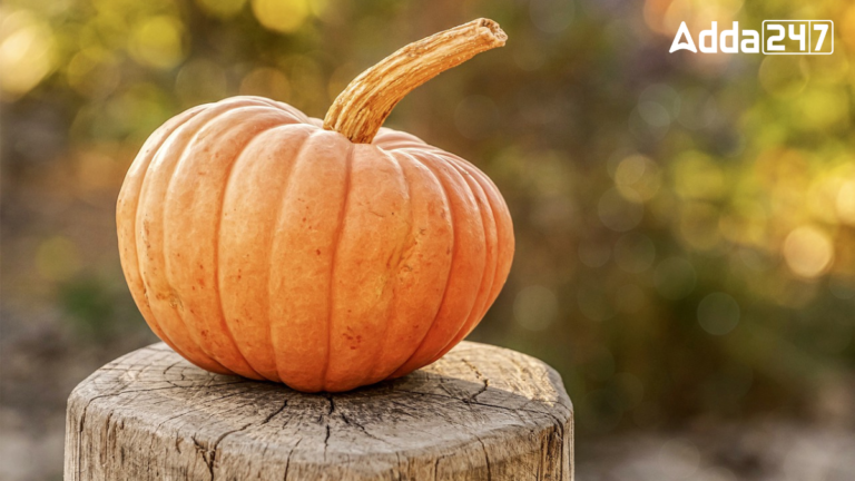 Top-10 Pumpkin Producing Countries in the World [Current Affairs]