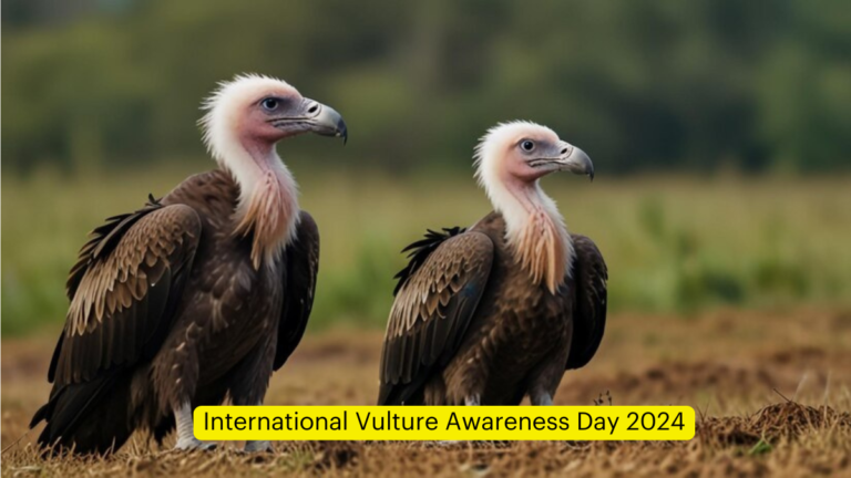 International Vulture Awareness Day 2024 [Current Affairs]