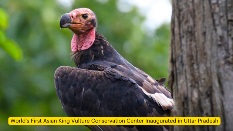 World’s First Asian King Vulture Conservation Center Inaugurated in Uttar Pradesh [Current Affairs]